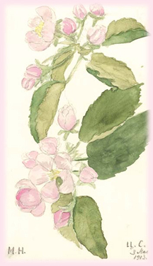 A watercolor by Me, 1913...