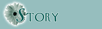 My Story...